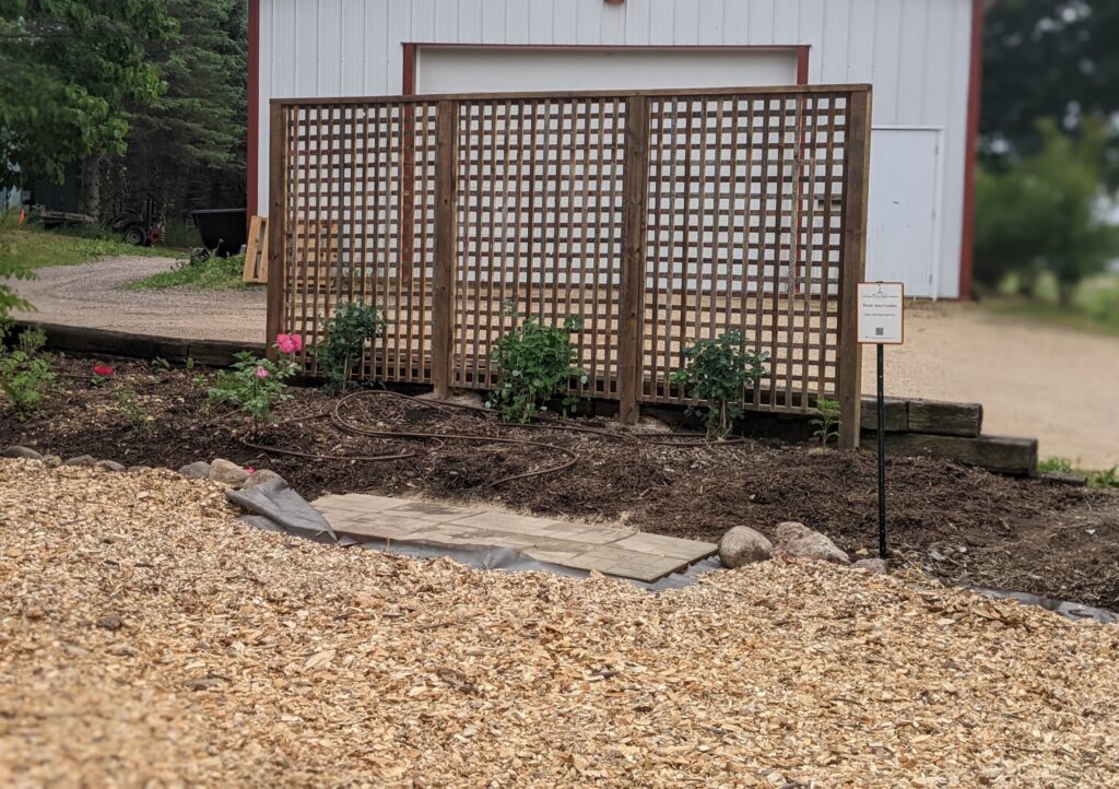progress on picnic garden renovation, Washington County Master Gardeners, Minnesota