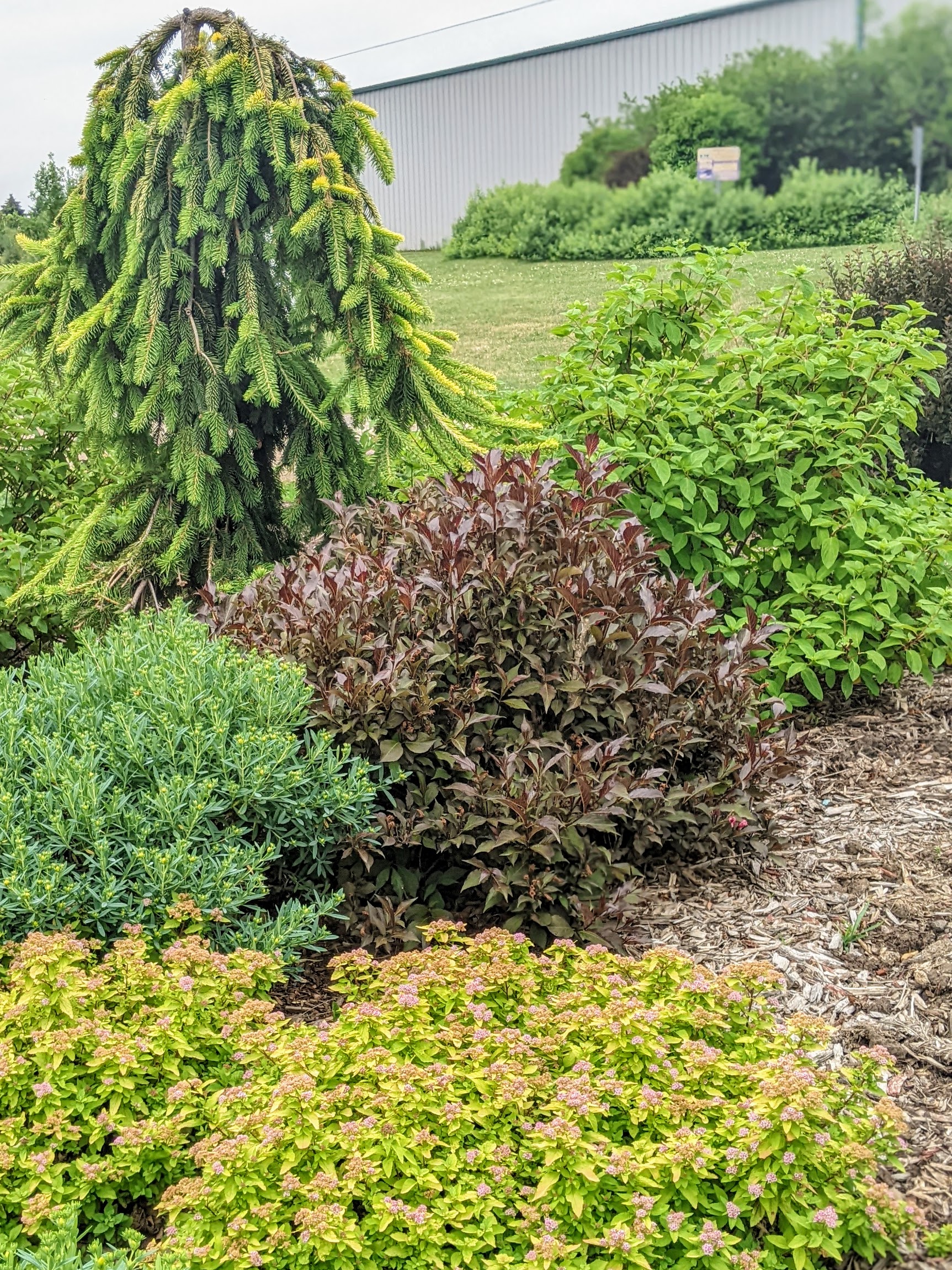 landscape with various heights and colors, Washington County Master Gardeners, Minnesota
