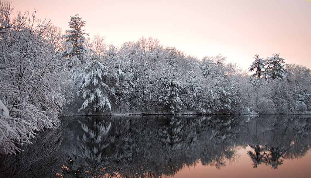 Pond at sunset surrounded by snow-covered trees that reflect in the water