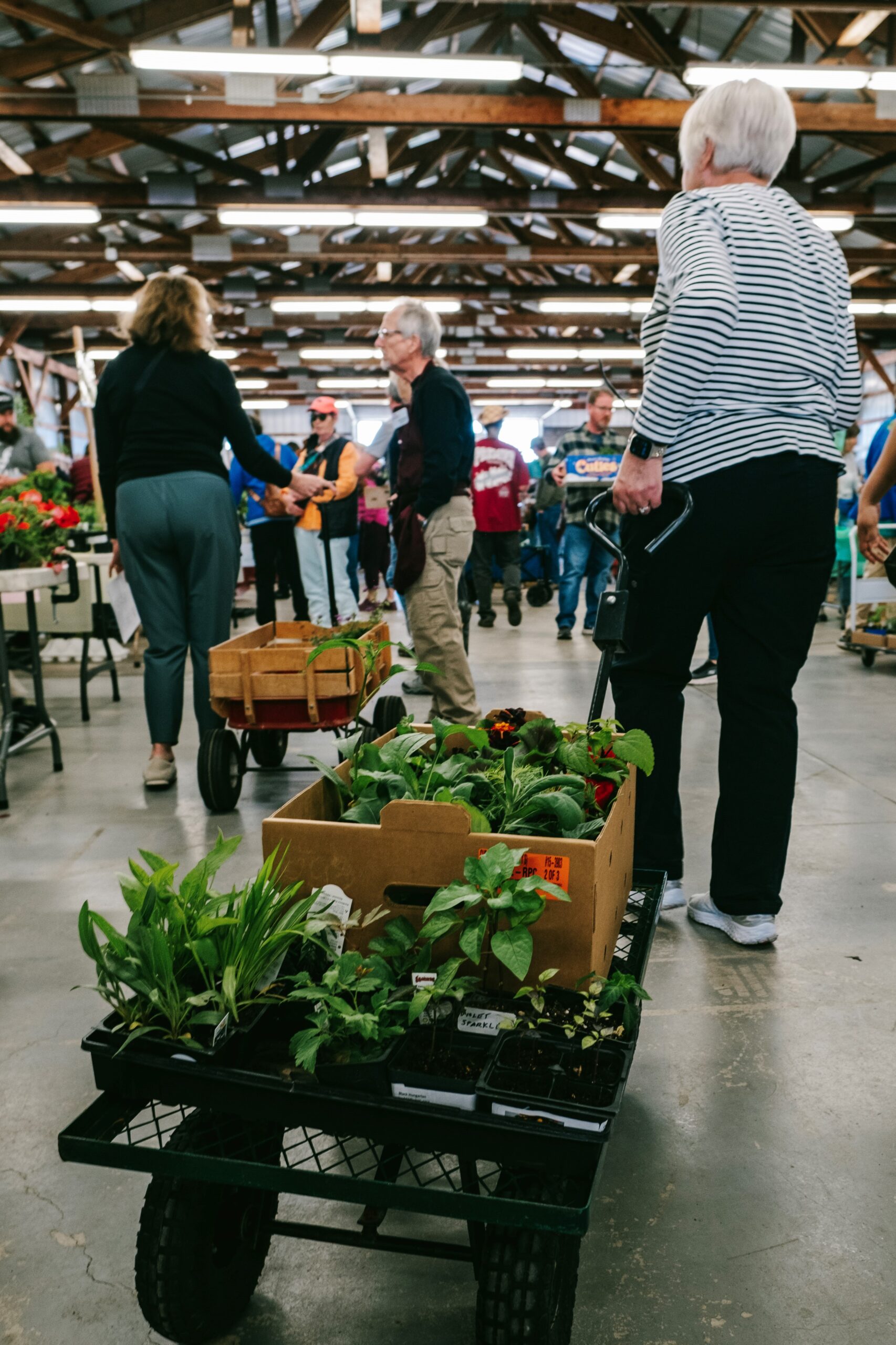 Customer pulling a wagon full of plants at the plant sale.