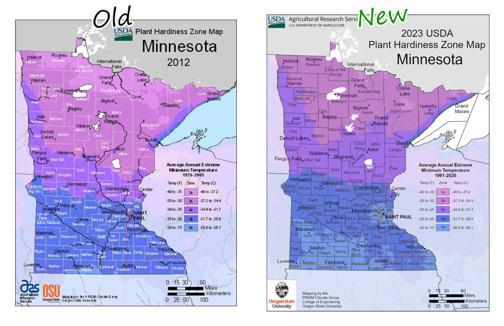 Minnesota USDA Zone Map 2012 vs 2023 comparison