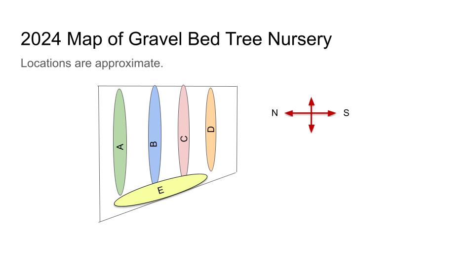 Map of Gravel Bed Tree Nursery at The Fairest Garden
