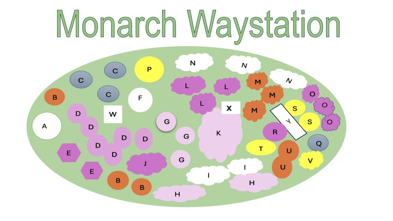 Map of the Monarch Waystation at The Fairest Garden