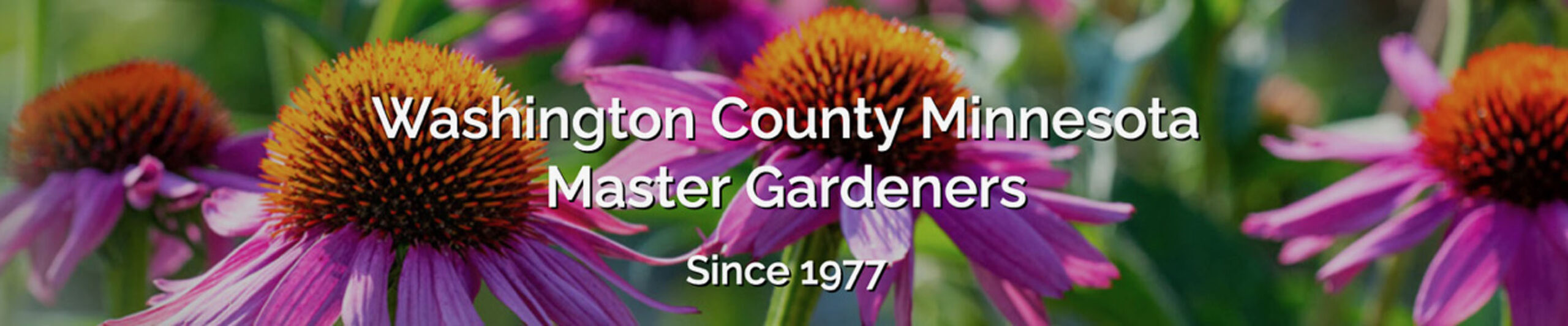 Washington County Minnesota Master Gardeners Since 1977