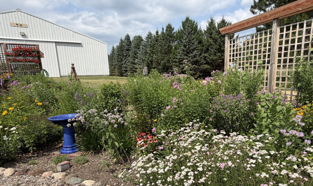 Garden with a variety of colorful flowers plus a bird bath and a trellis.